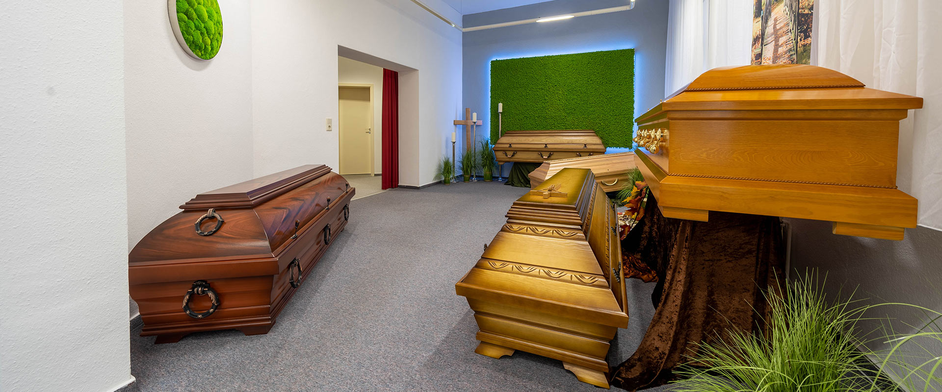 Mehrere helle und dunkle Särge stehen in einem Raum mit grünem Moos an der Wand