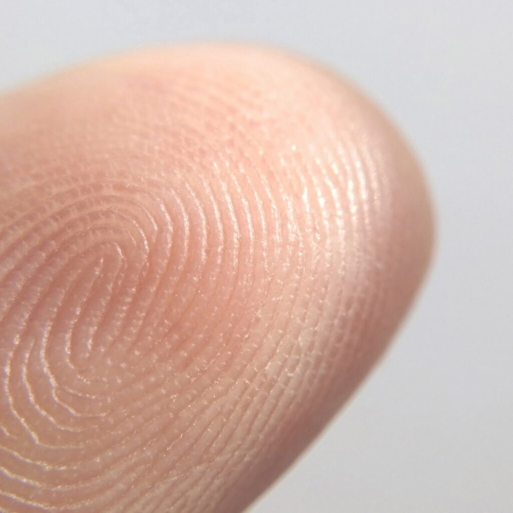 Nahaufnahme eines Fingerabdrucks